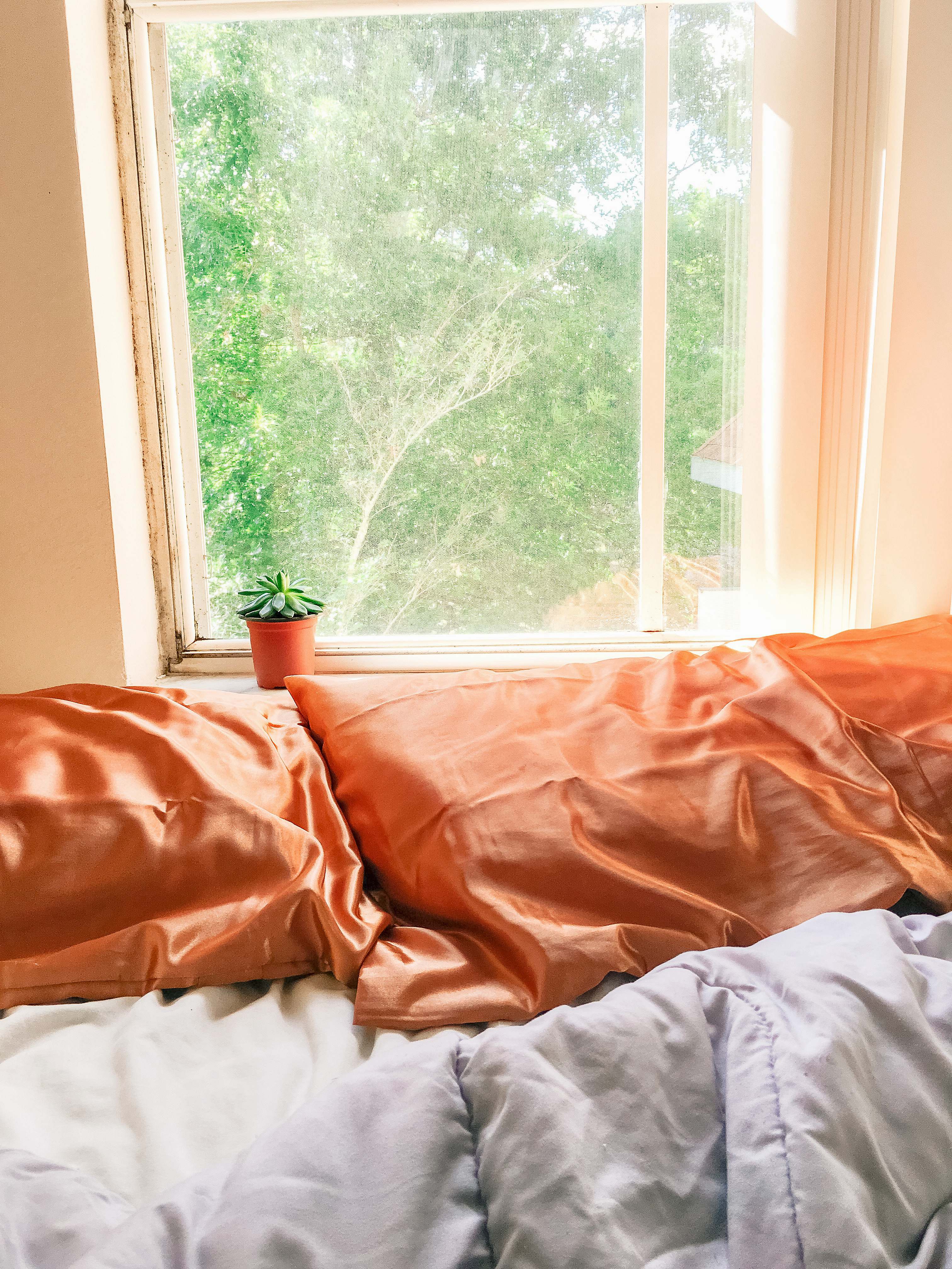 Home Decor White Bed Linen Near Window Pillows Image Free Photo